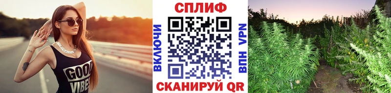 Канабис индика Сегежа